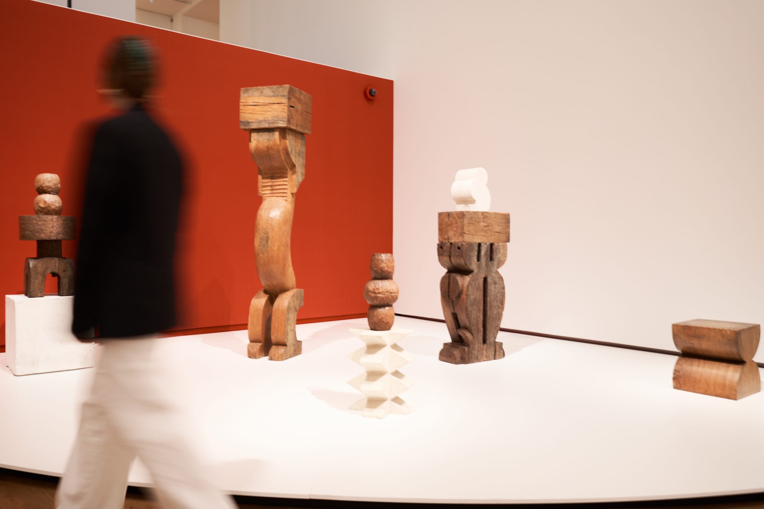 zaalbeeld Brancusi Tomek Dersu Aaron