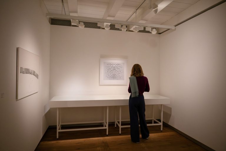 Bezoeker in de tentoonstelling Jan Dibbets 1966-1976 = Toward Another Photography